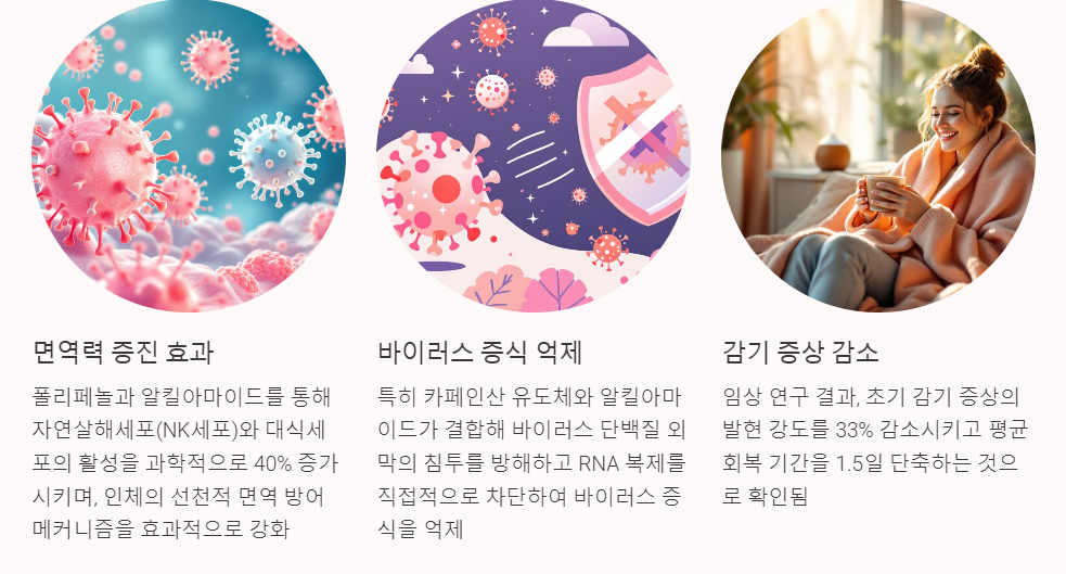 애키네시아 효능