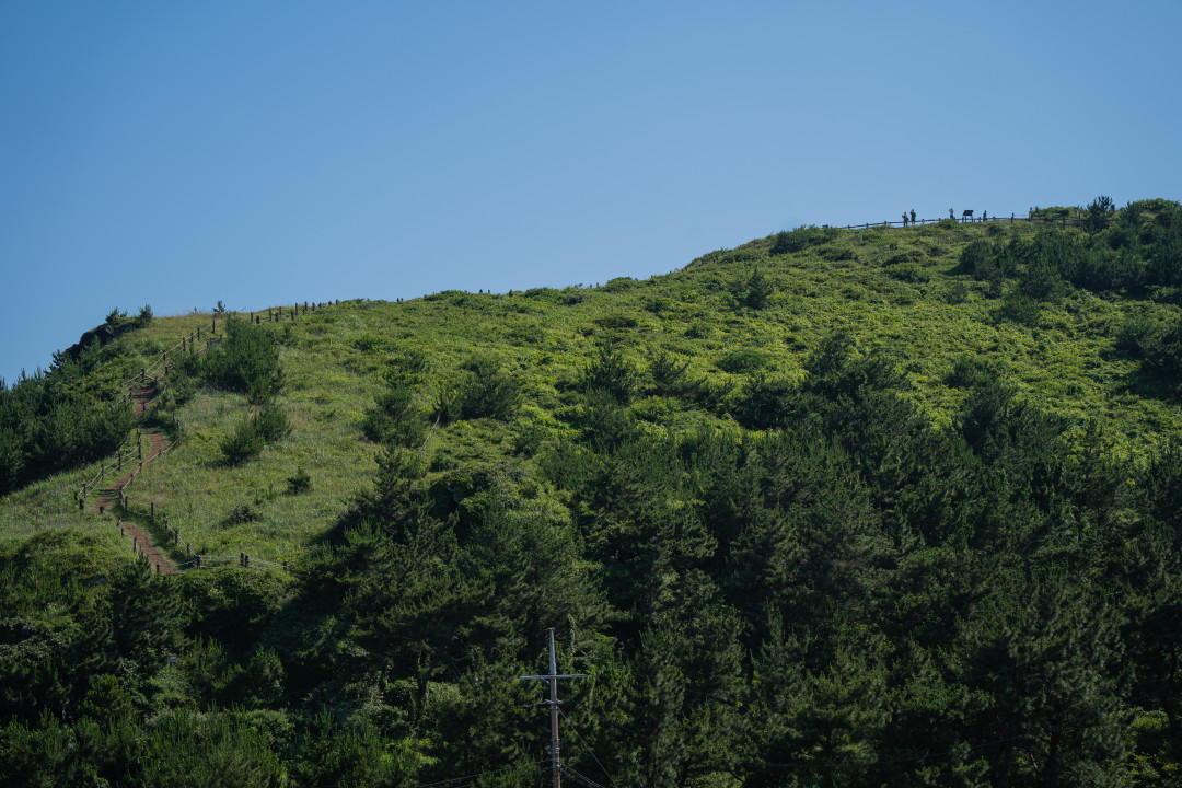 송악산 올라가는길