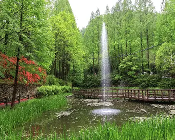 장태산 자연휴양림 예약_5