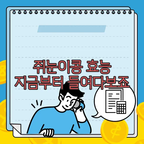 쥐눈이콩 효능 지금부터 들여다보죠