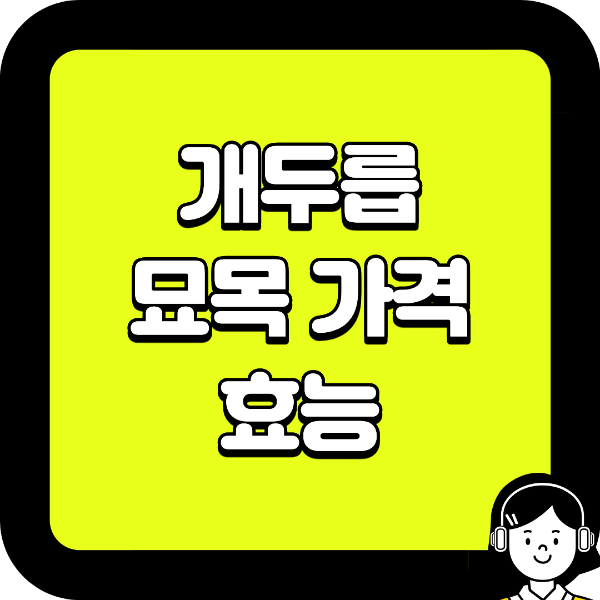 개두릅 묘목 가격, 효능부터 1그루 시세까지 한눈에 정리