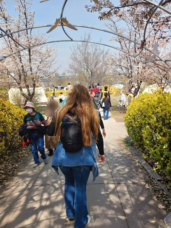 봄꽃 축제장 가는길