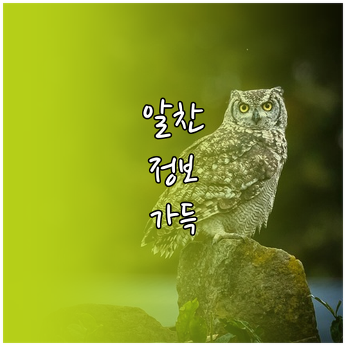요리 고수들의 비밀 부피 무게 계량 ..