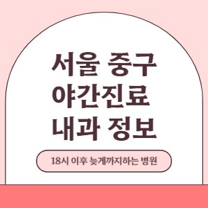 서울 중구 야간진료 내과 병원 (18시 이후 늦게까지하는 병원)