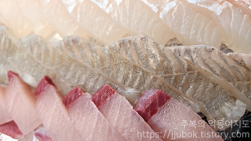 아이돌수산-제철모듬회-6