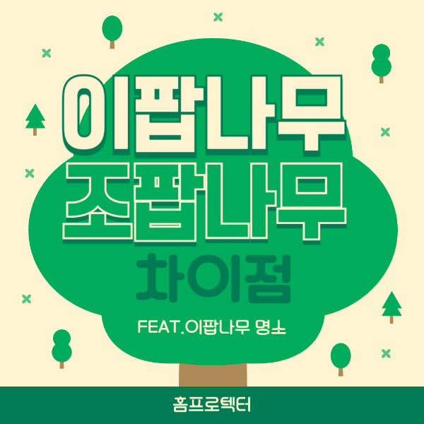 이팝나무 조팝나무 차이점