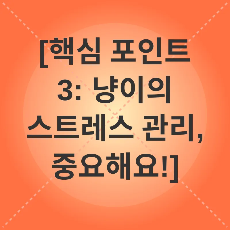 고양이 행동_3