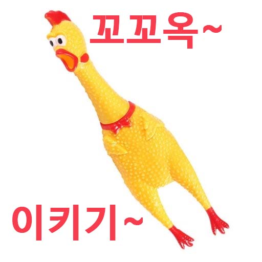 닭 사시미 위험성