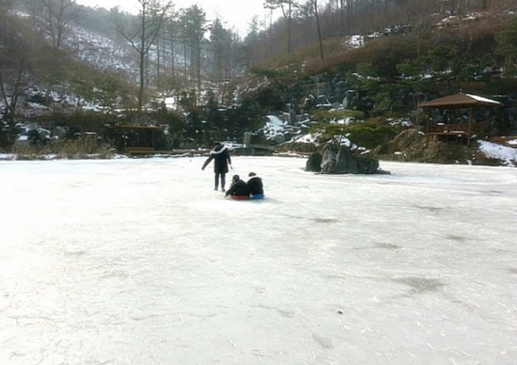양평수목원캠핑장