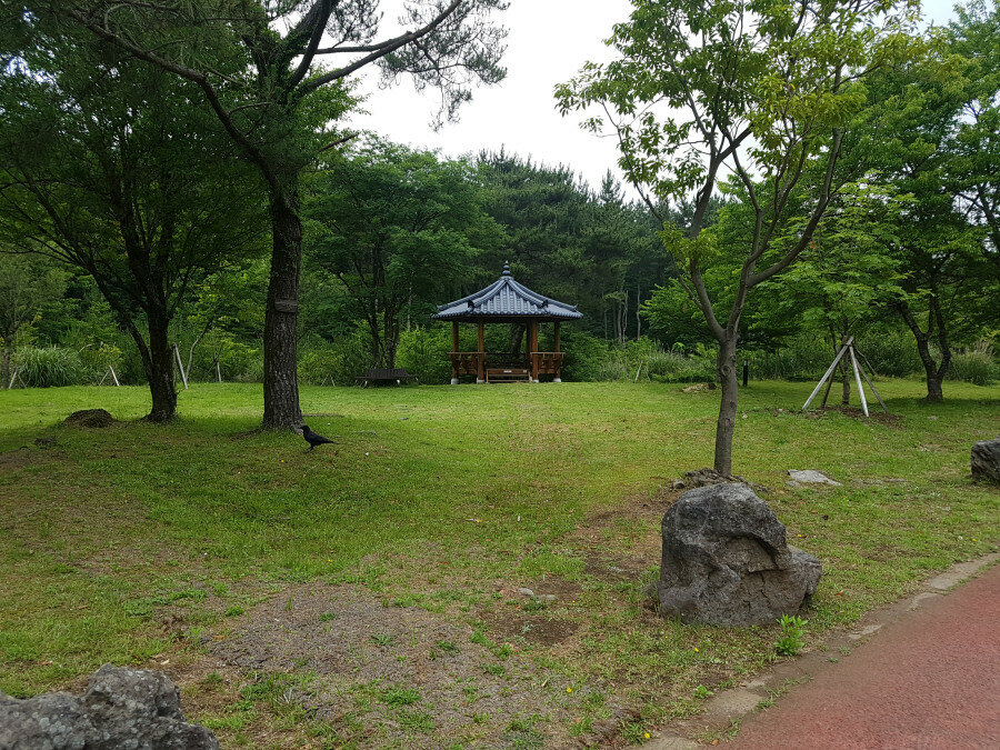 제주 붉은오름 자연휴양림 숲속야영장