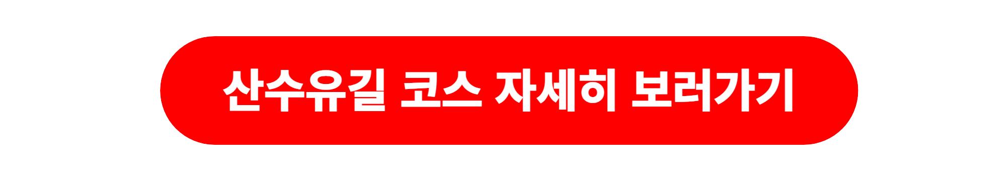 전남 산수유꽃축제 코스