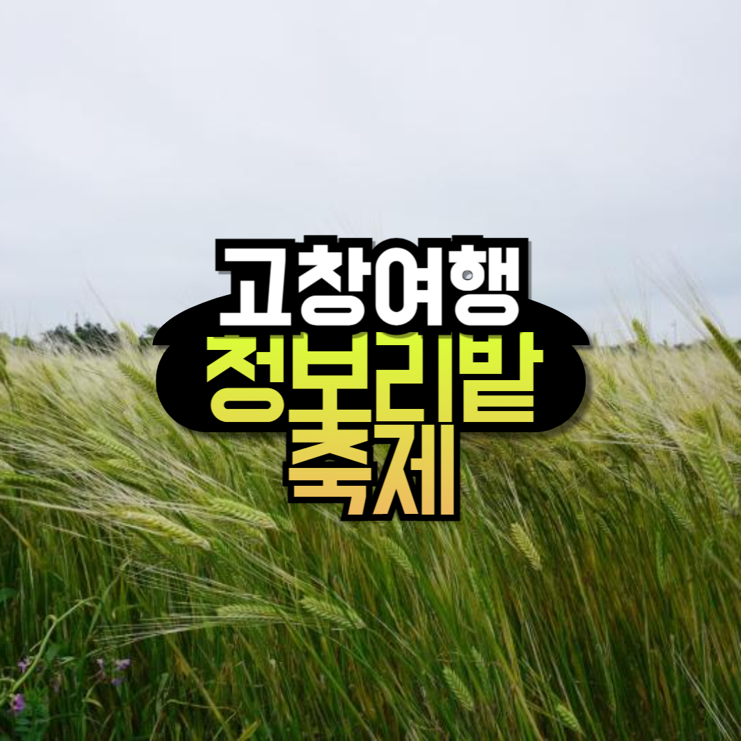 고창 가볼만한 곳 청보리밭 축제 관광지 추천