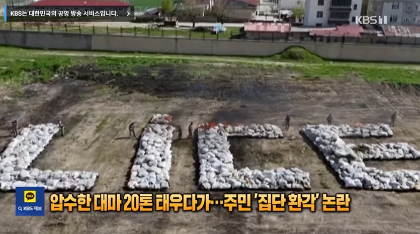 대마초 소각 후 주민 환각 사건