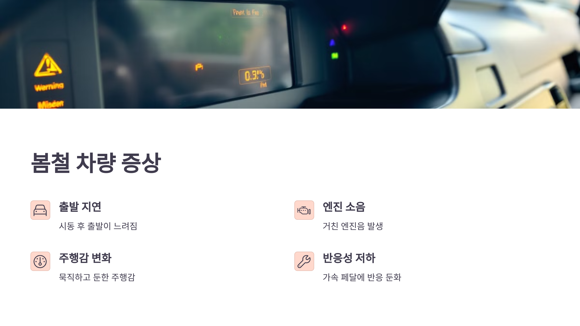 봄철 차량 증상