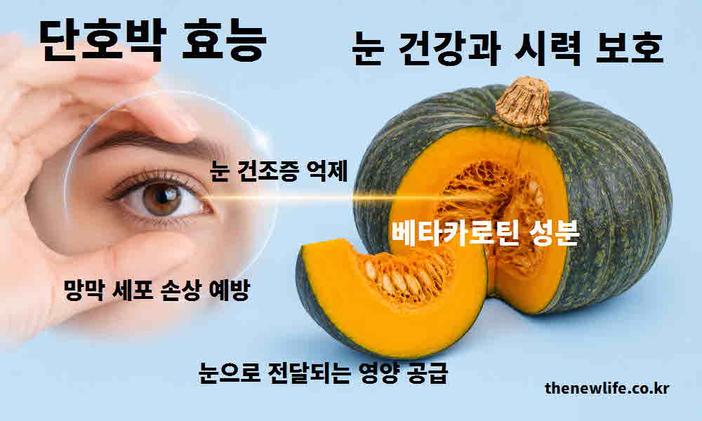 단호박 효능 눈 건강 시력 보호