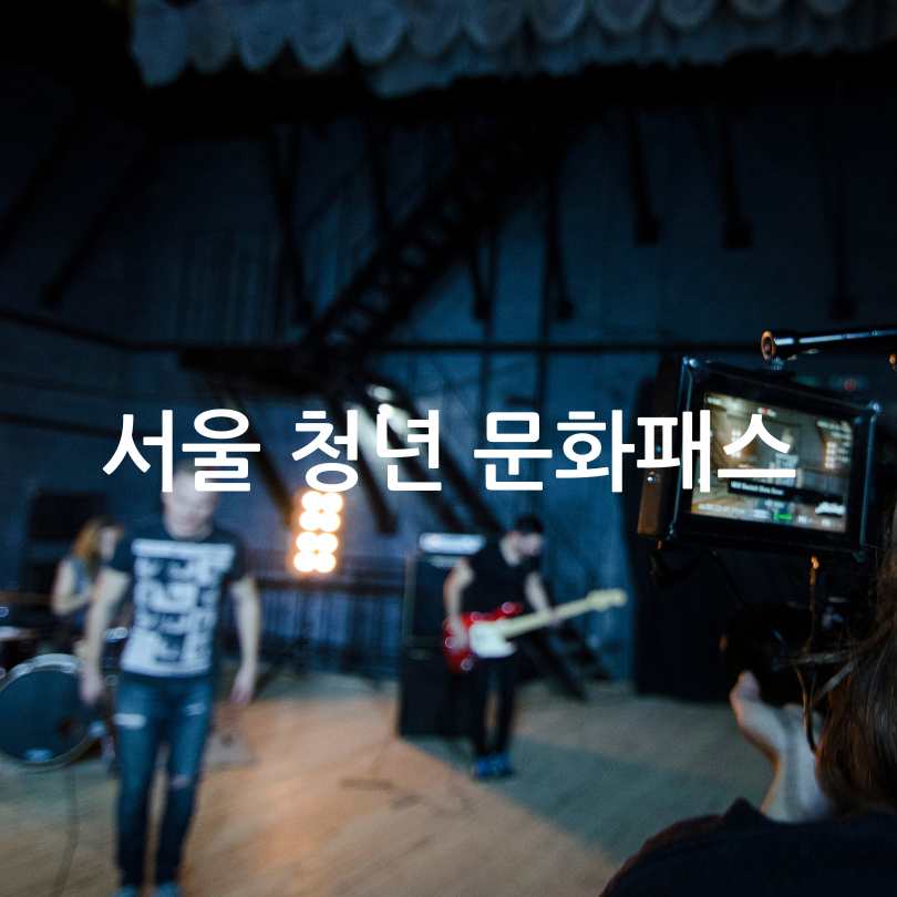 서울 청년 문화패스