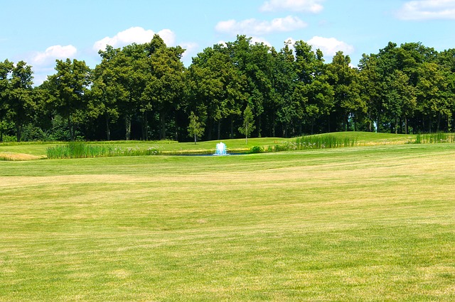 골프장의 페어웨이