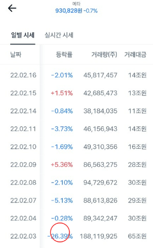 메타-추가-하락
