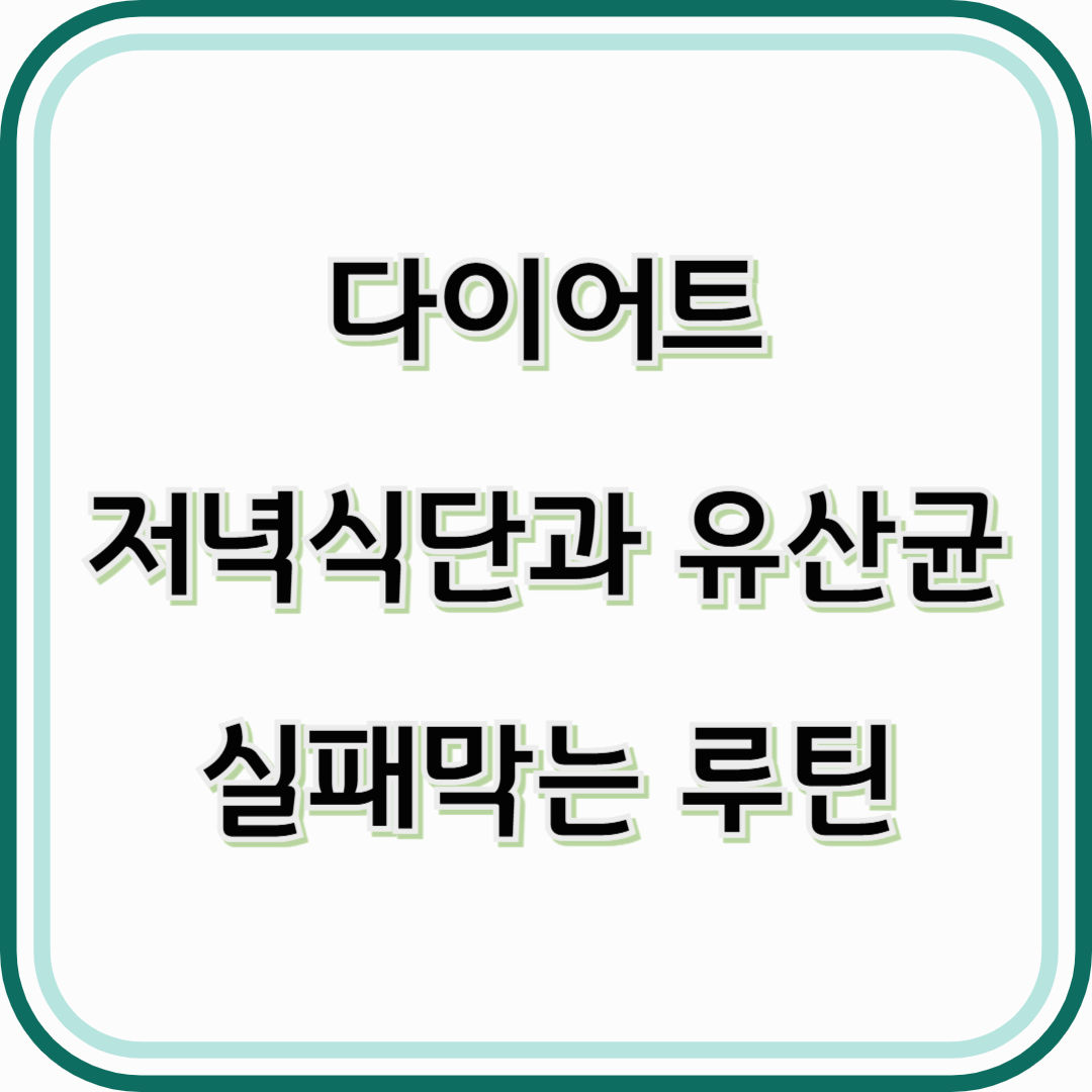 다이어트 저녁식단과 유산균 건강한 체중 감량의 핵심