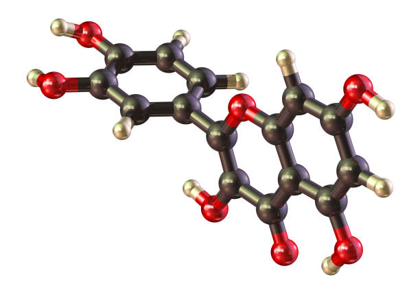 플라보놀(flavonol) 효능
