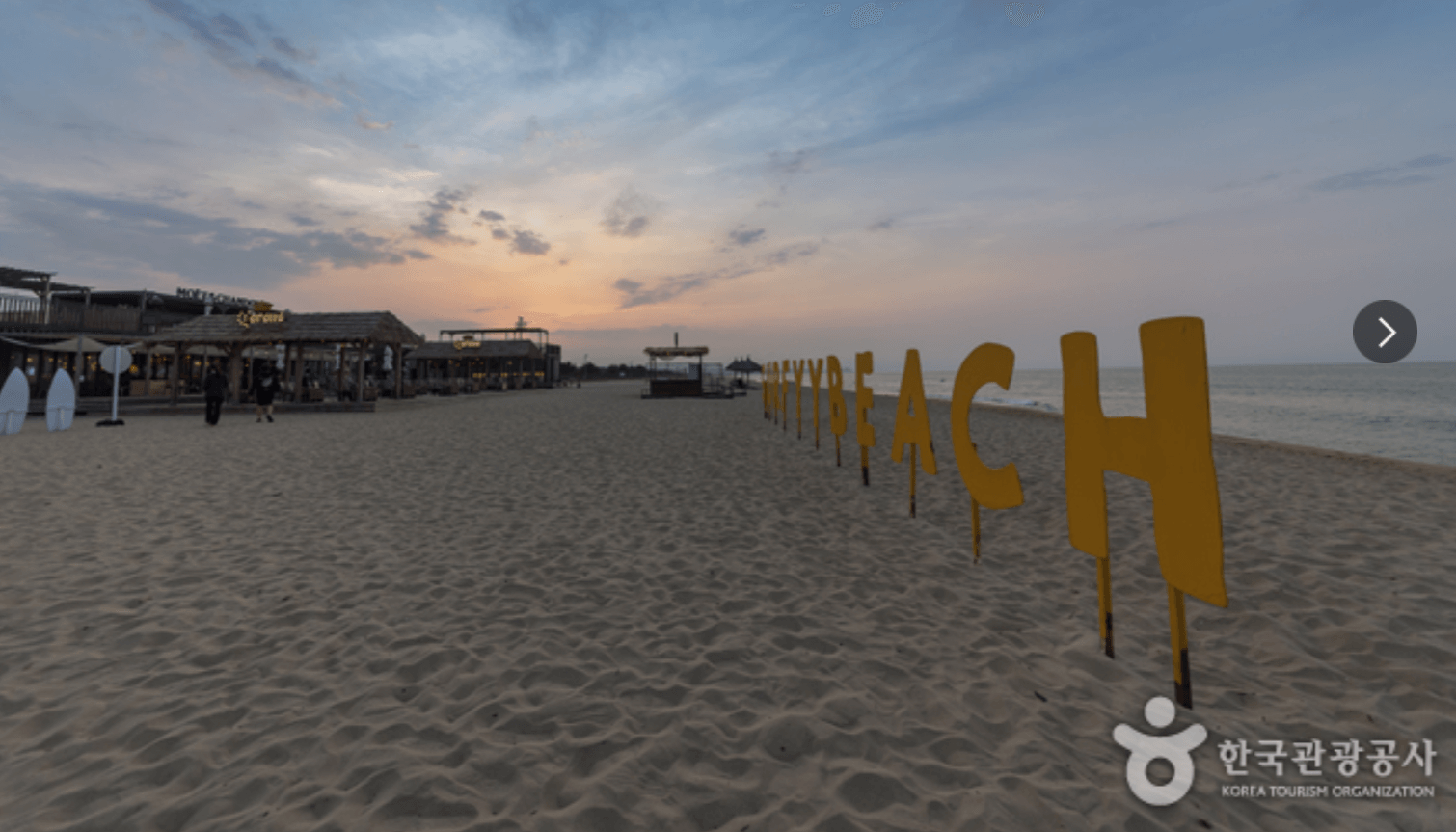 강원도 겨울 반려동물 애견 동반 여행지 추천