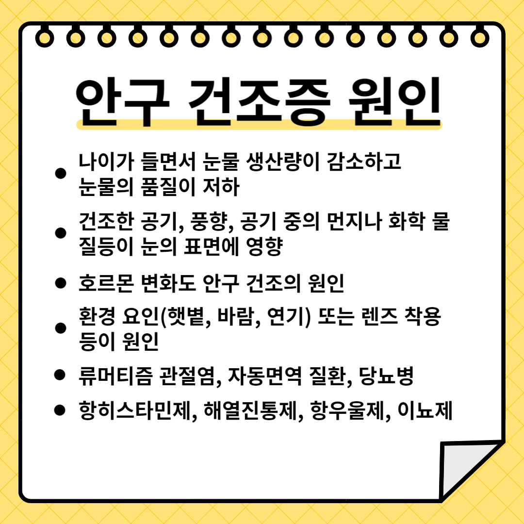 안구건조증 원인