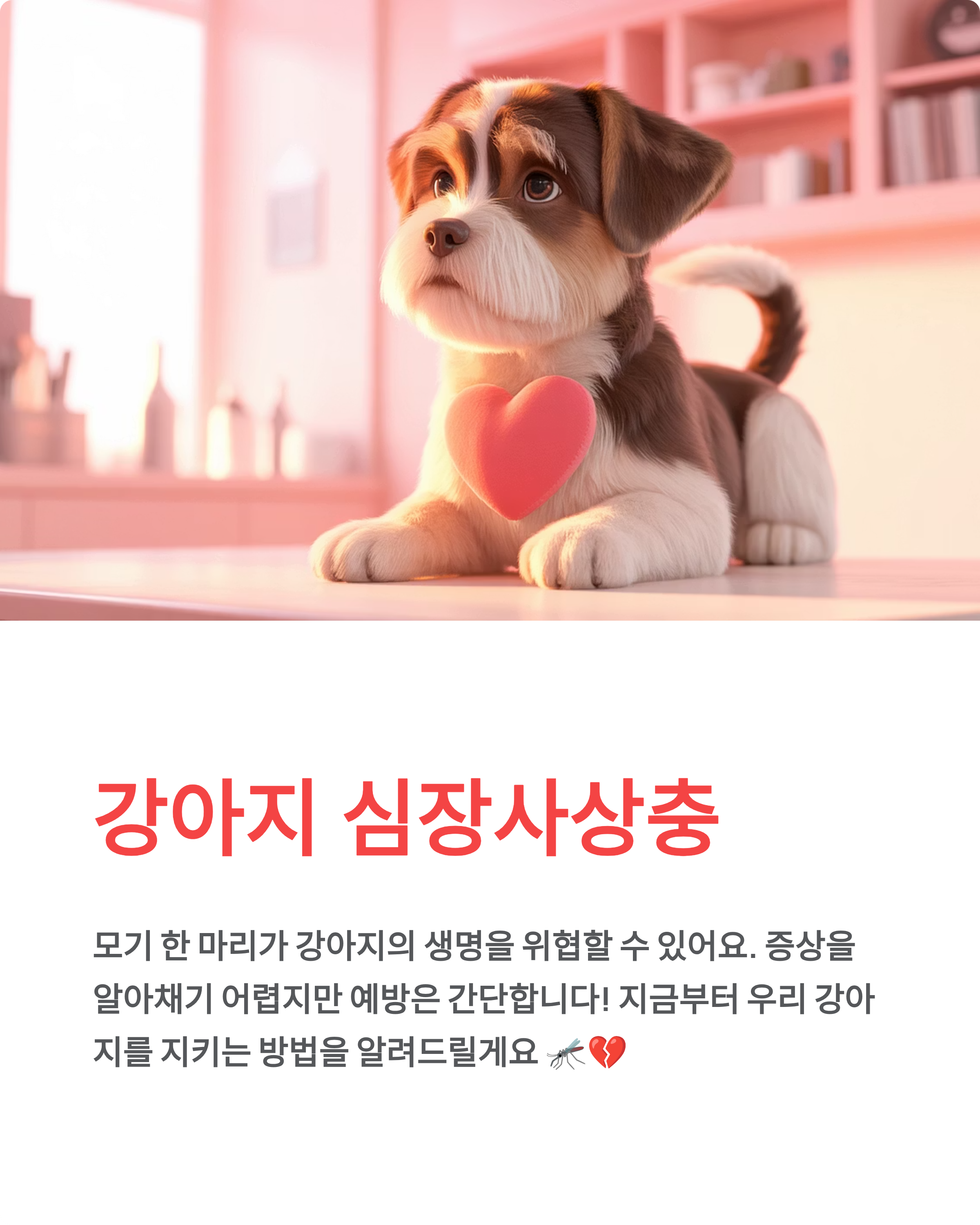 강아지 심장사상충 ❤️ 증상·예방약·치료 완벽 가이드!