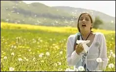 알레르기약, 증상별 약 알아보기