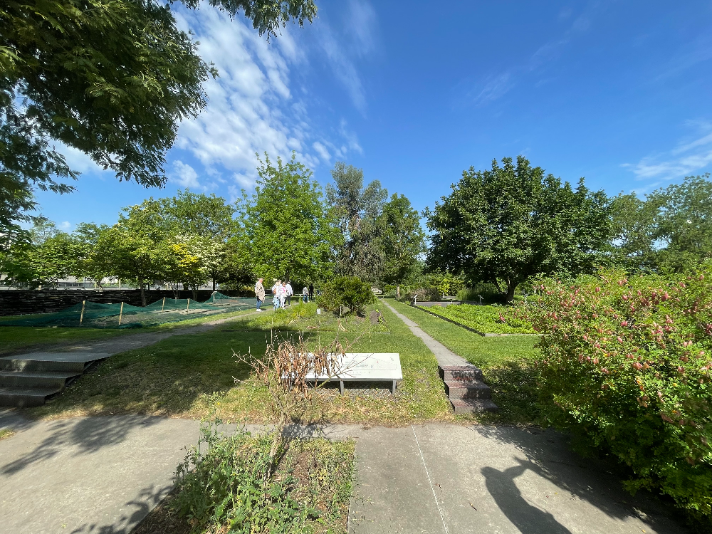 보르도 식물원 - 3. Pelouse (잔디밭)6