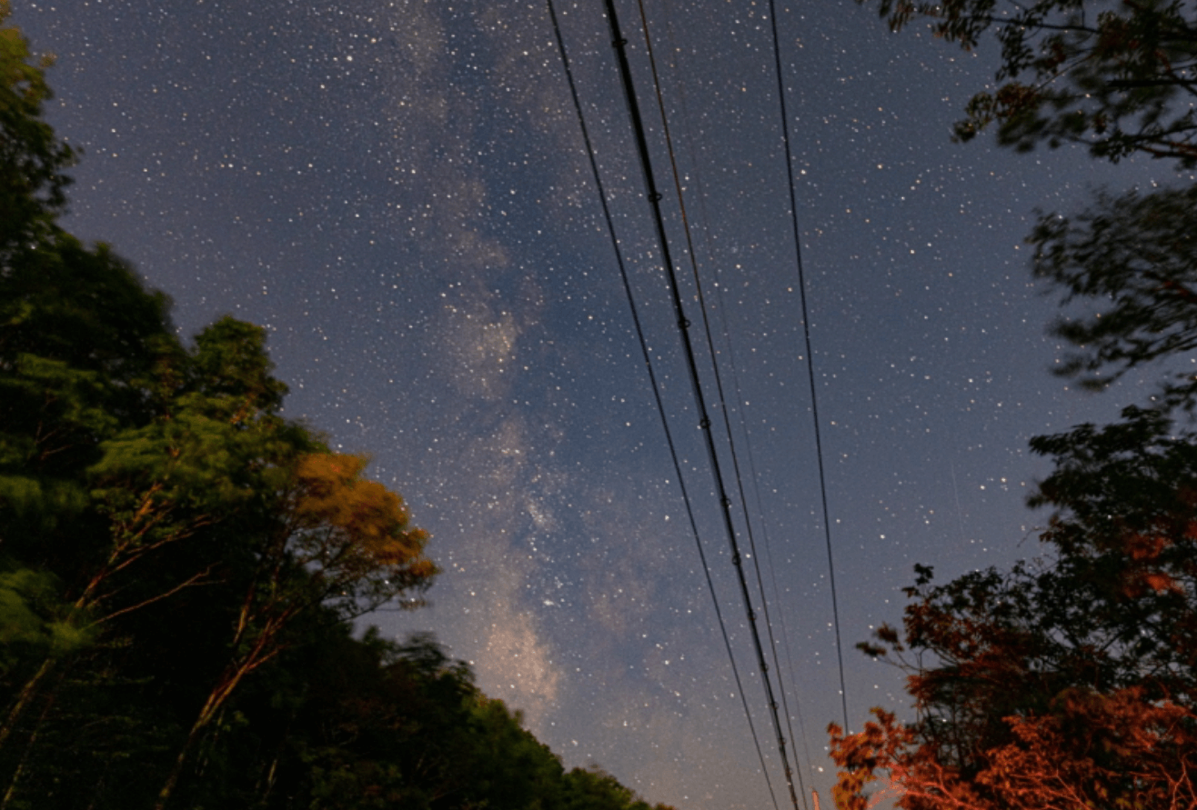 강원도 겨울 반려동물 애견 동반 여행지 추천
