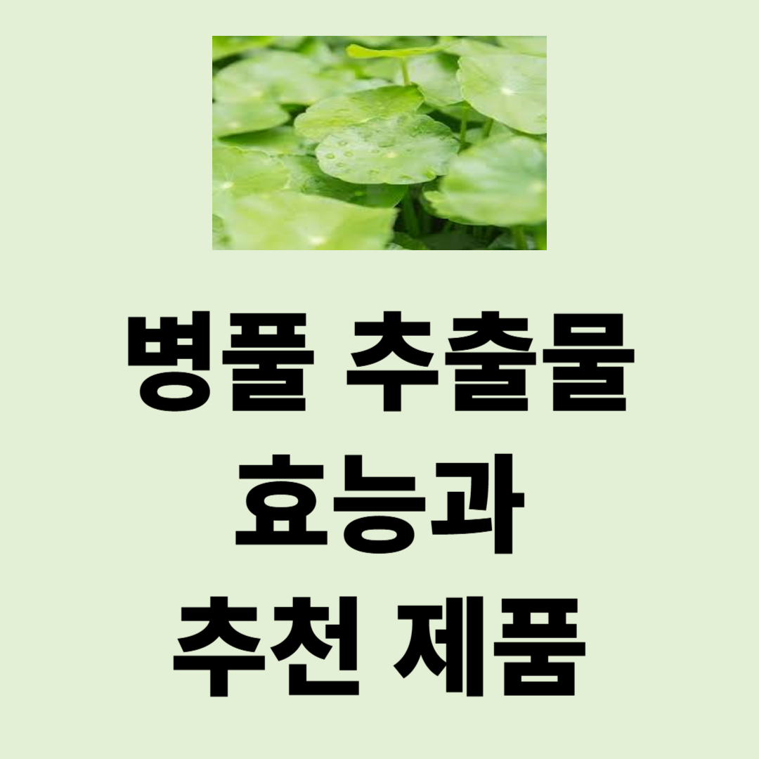 병풀 추출물 효능과 추천제품 총정리 - 하지 정맥류, 다리 부종, 눈과 간의 염증을 제거