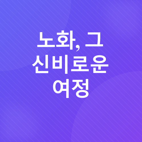 노화 방지_1