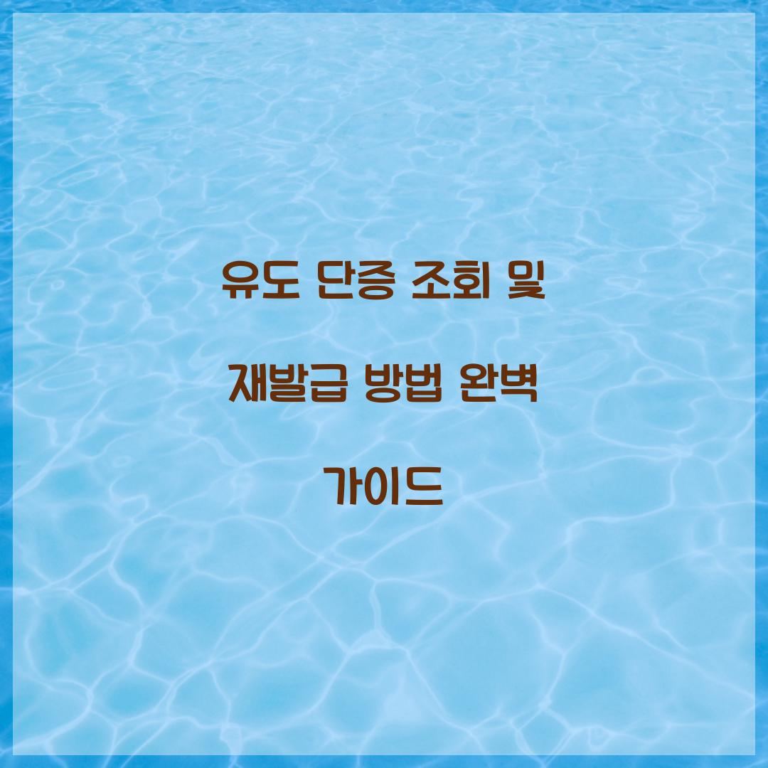 유도 단증 조회 및 재발급