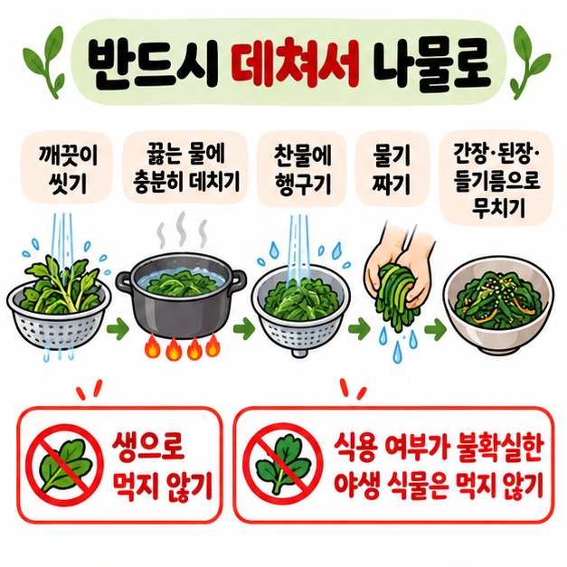 깨끗이 씻기 끓는 물에 데치기 찬물에 헹구기 물기 짜기 간장 된장 들기름으로 무치기를 나물 요리법으로 보여주는 카드