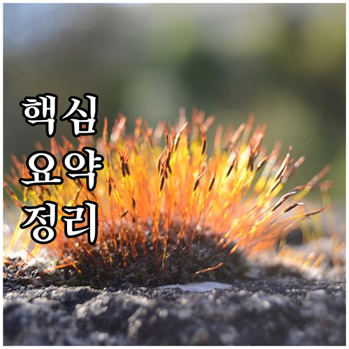 2025 청양군 노인 목욕 이·미용비..