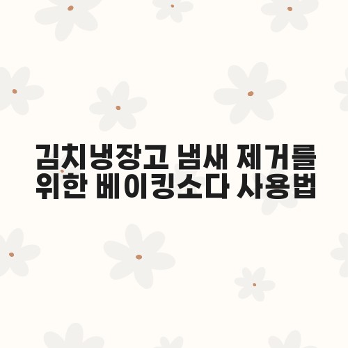 김치냉장고 냄새 제거를 위한 베이킹소다 사용법