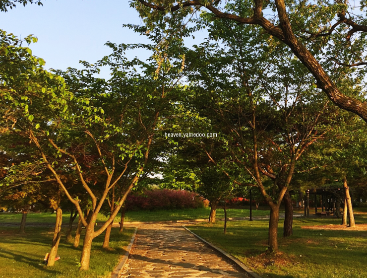 부여 가볼만한곳 베스트10