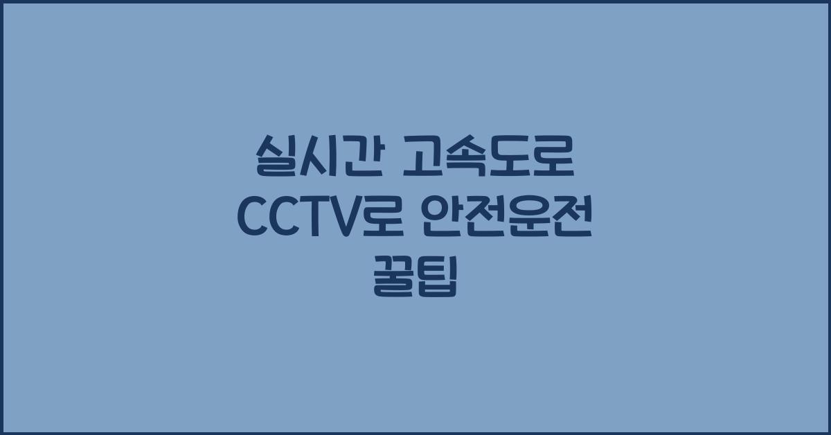 실시간 고속도로 cctv