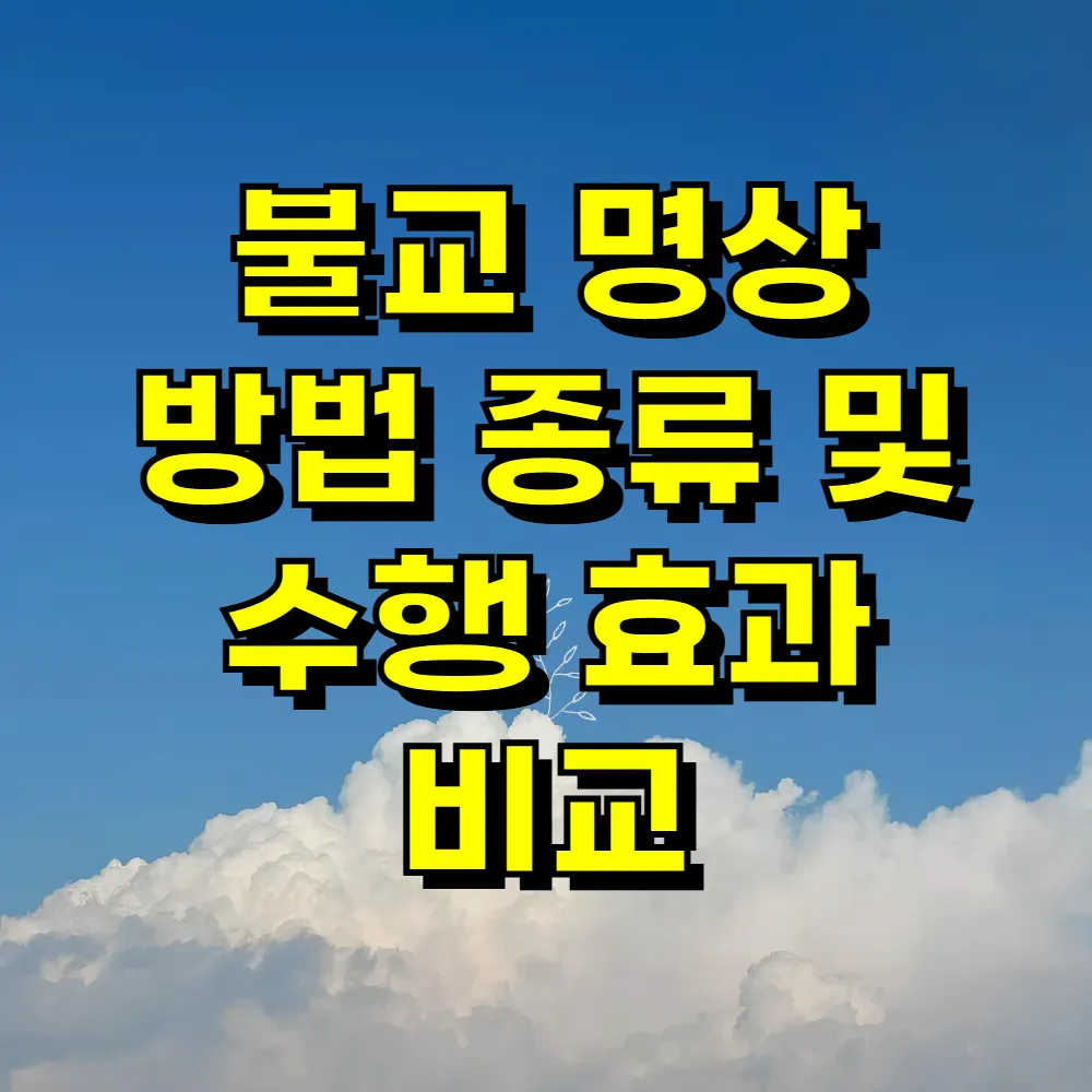 불교 명상 방법 종류 및 수행 효과 비교
