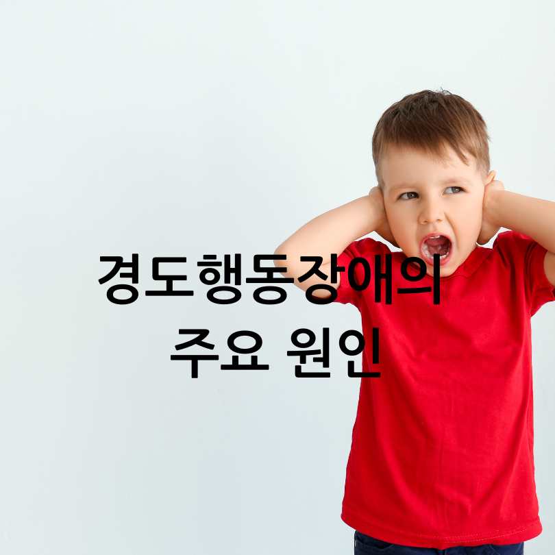 경도행동장애 증상, 원인, 관리법