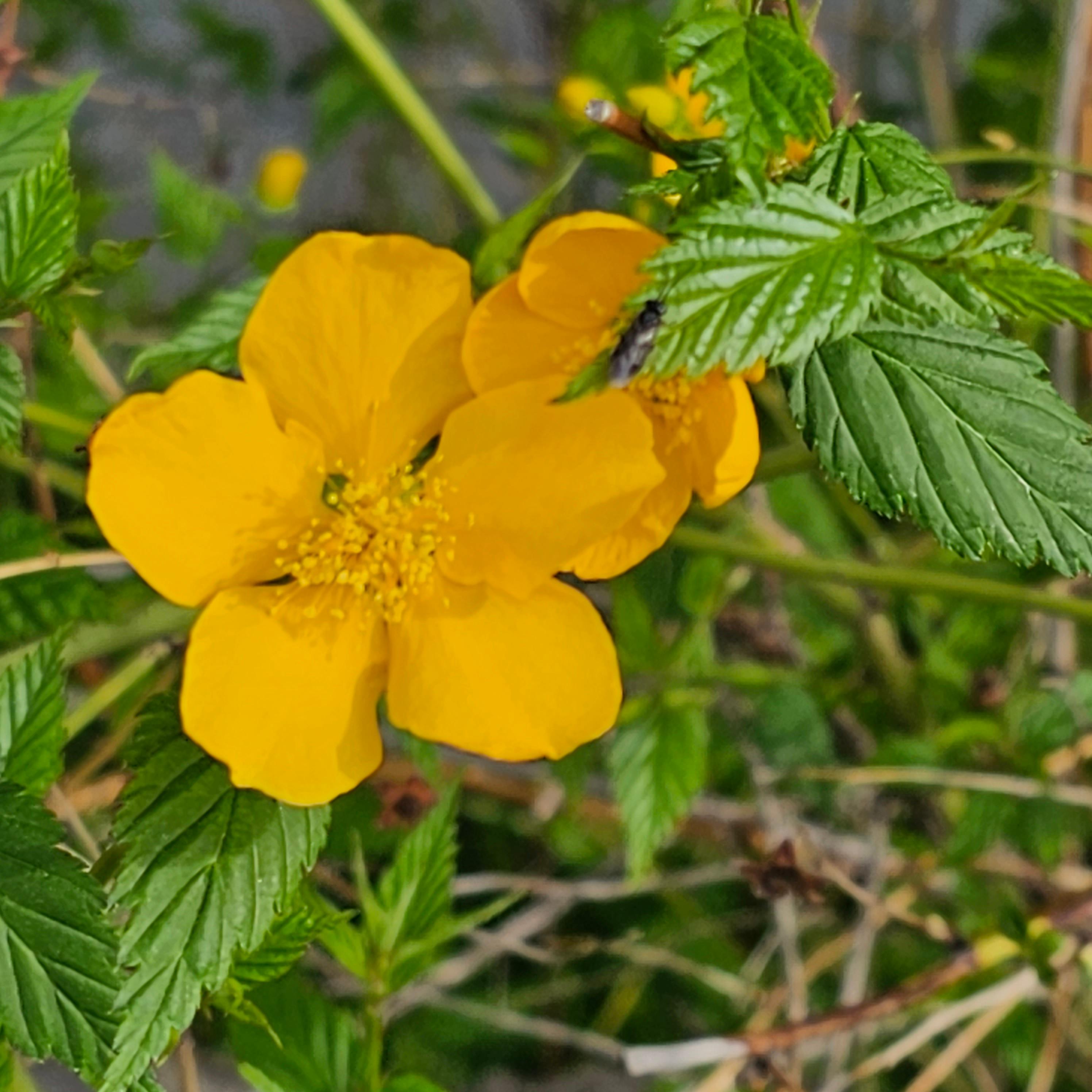 일상 속 꽃 한 송이의 힘