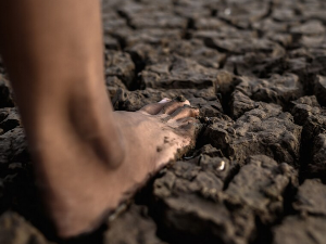 신발 잃어버린 꿈 해몽