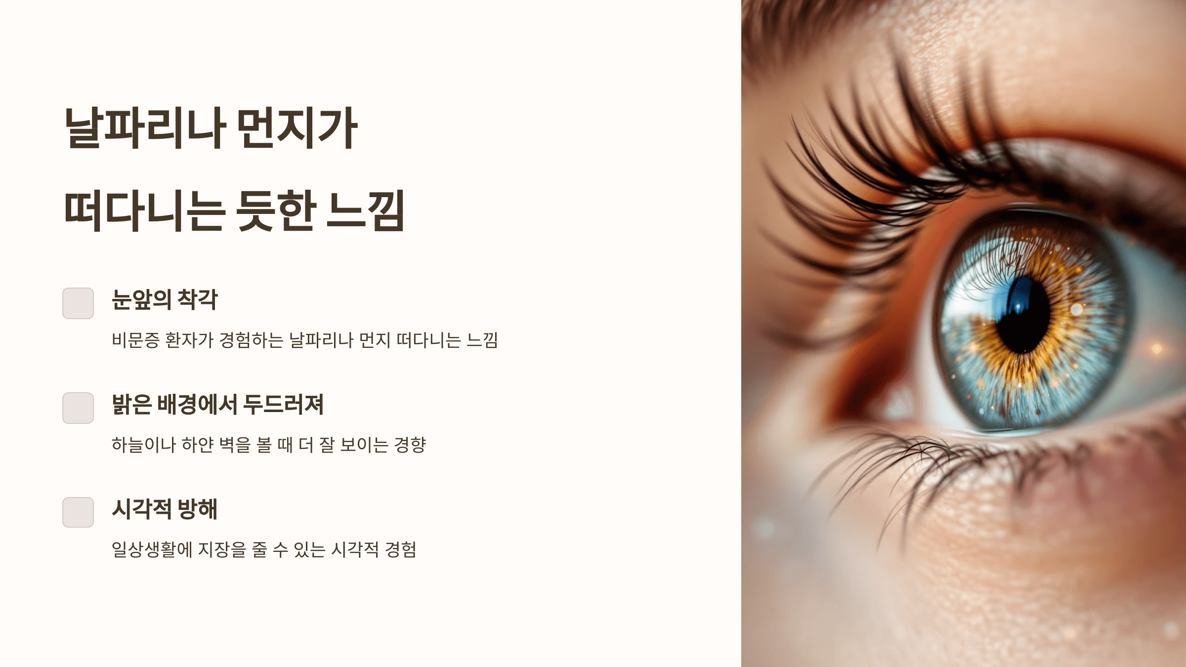 비문증과 관련된 사진입니다.