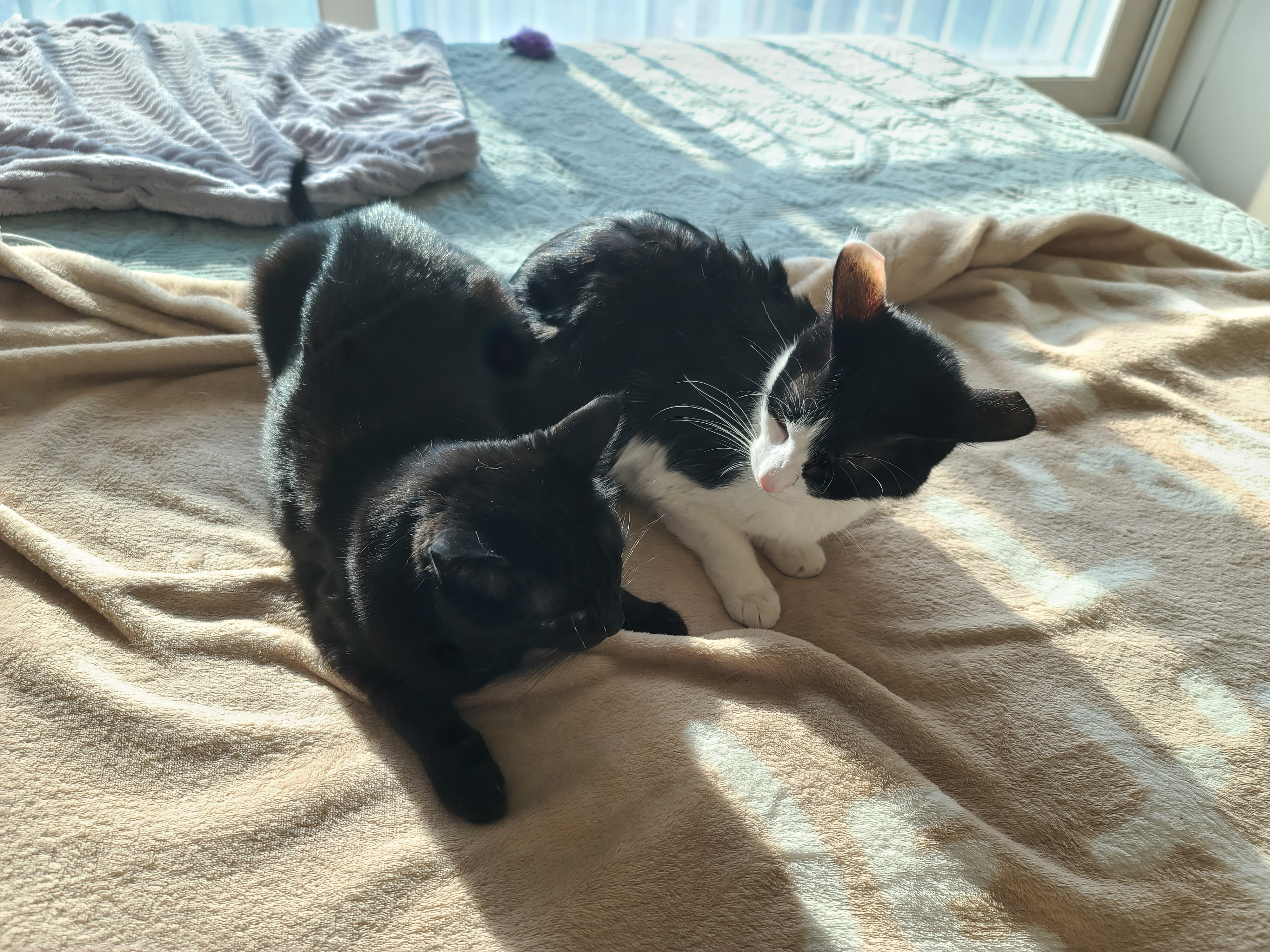 놀라지마세요~ 진짜 투닥거리는 거예요~ㅋㅋ