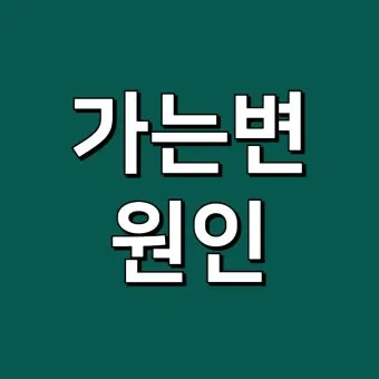 가는 똥 이유와 똥이 가늘게 나오는 이유 분석_2