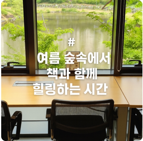 여름 북캉스 도서관 추천 : 용인·수원 숲속 힐링 공간 3선