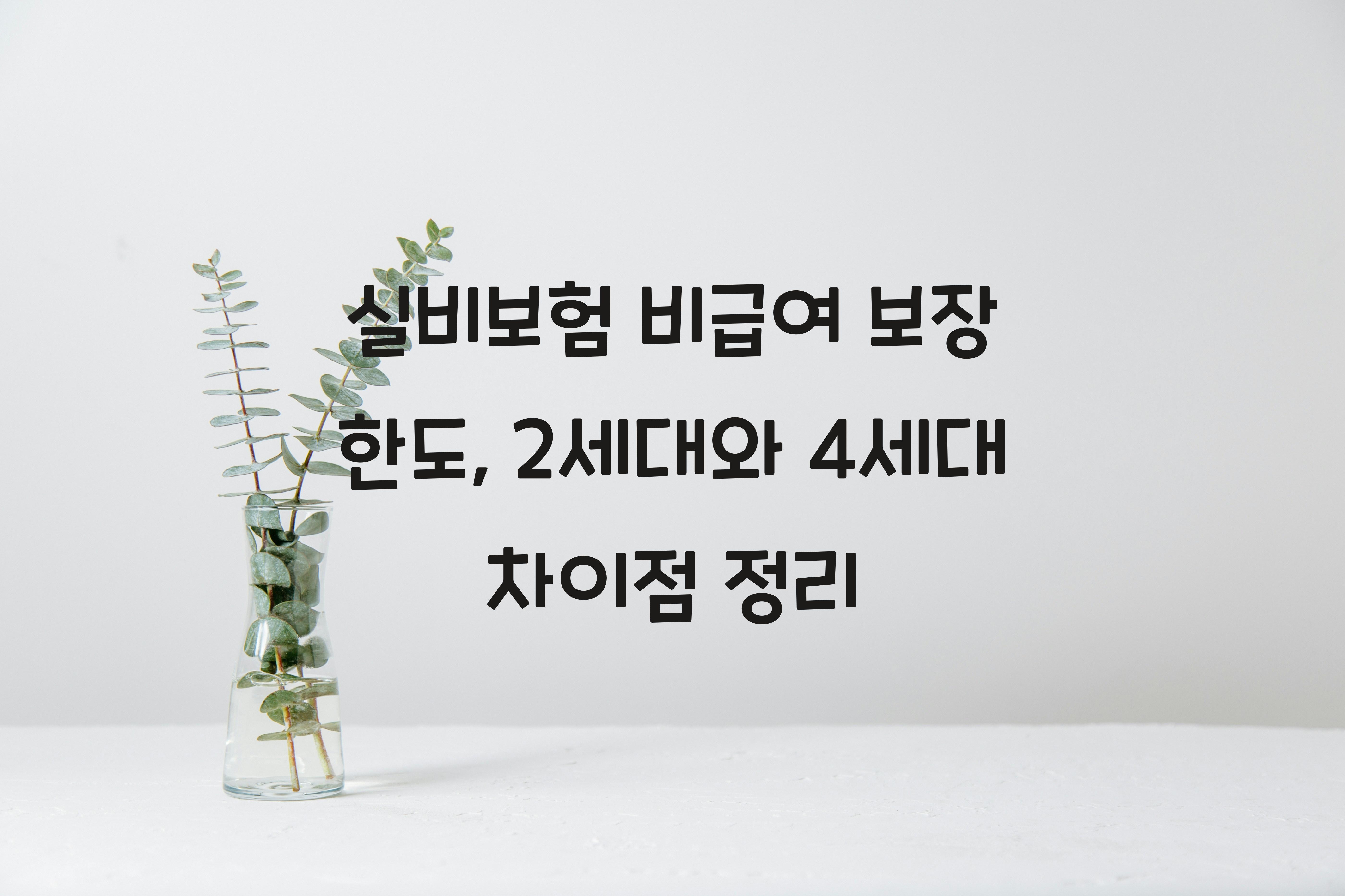 실비보험 비급여 보장 한도