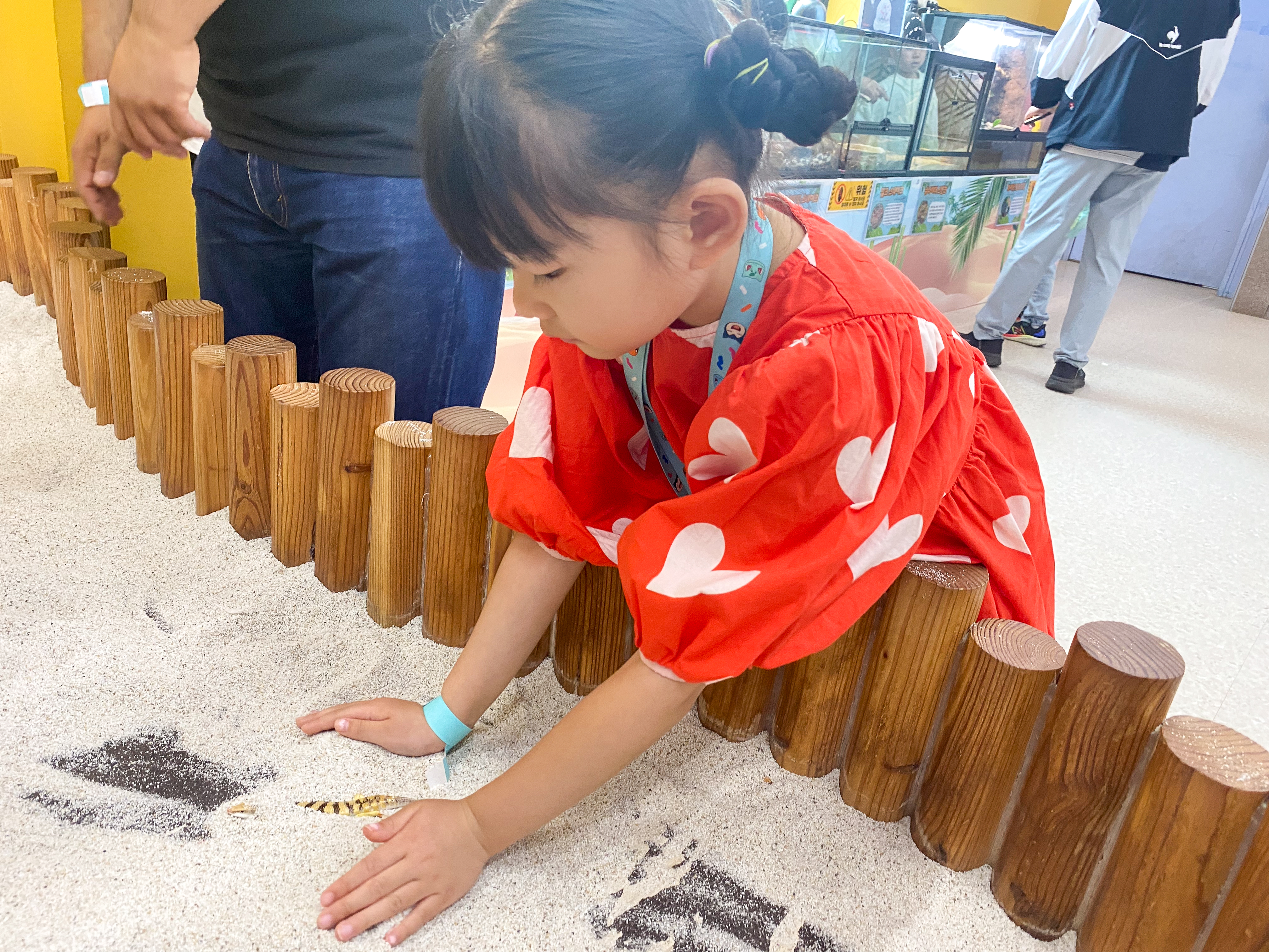 샌드피쉬 만져보기 체험