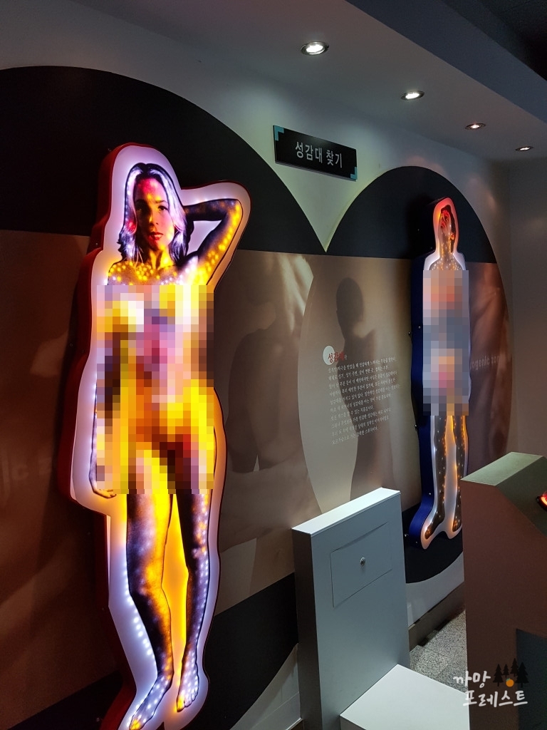 건강과 성 박물관 성감대