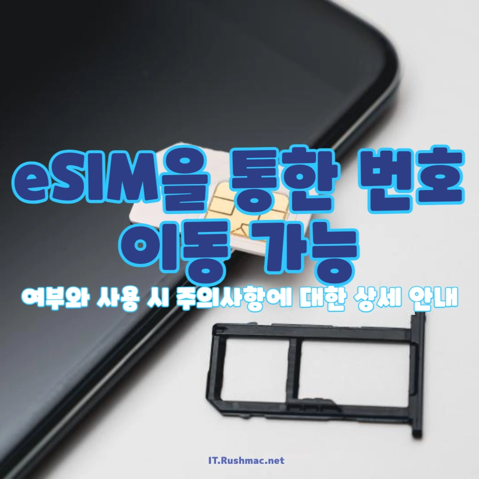 eSIM 번호 이동